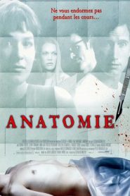 Anatomie