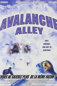 Avalanche Alley