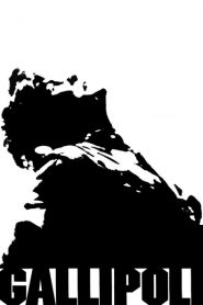Gallipoli