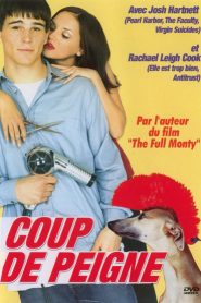 Coup de peigne