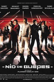 Nid de guêpes