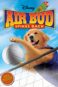 Air Bud superstar