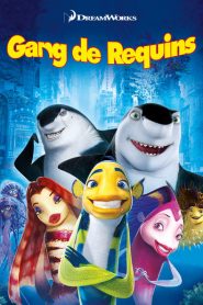 Gang de requins