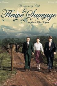 Le fleuve sauvage