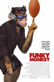 Le singe funky