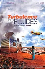 La Turbulence des fluides
