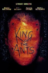 King of the Ants