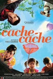 Cache cache