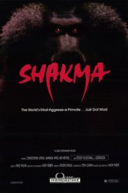 Shakma