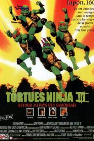 Les Tortues Ninja 3