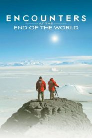 Rencontres au bout du monde