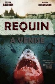 Requin à Venise