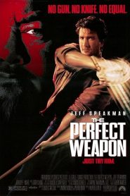 L’Arme parfaite