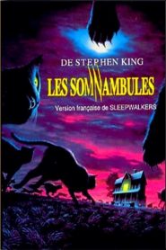 La Nuit déchirée