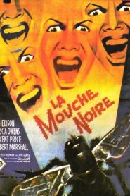 La Mouche noire