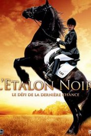 L’étalon noir, le défi de la derniere chance