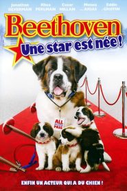 Beethoven 6 : une star est née !