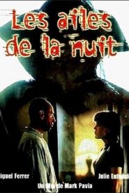 Les Ailes de la Nuit
