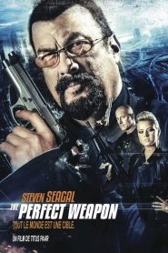 The Perfect Weapon