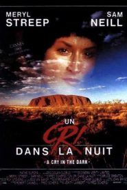Un cri dans la nuit