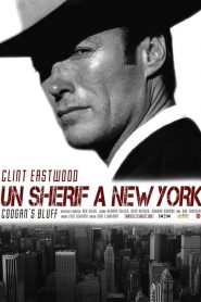 Un shérif à New York