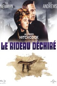 Le Rideau déchiré