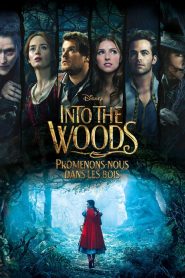 Into the Woods : Promenons-nous dans les bois