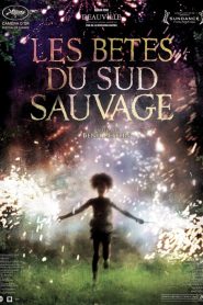 Les bêtes du sud sauvage
