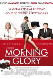 Morning Glory