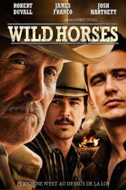 Wild Horses