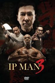 Ip Man 3