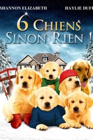 6 chiens sinon rien