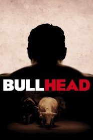 Bullhead