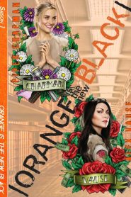 Orange is the new Black: Saison 1