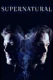 Supernatural: Saison 14