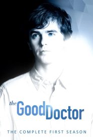 Good Doctor: Saison 1