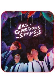 Les Garçons Sauvages