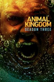 Animal Kingdom: Saison 3