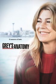 Grey’s Anatomy: Saison 15