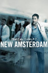 New Amsterdam: Saison 1