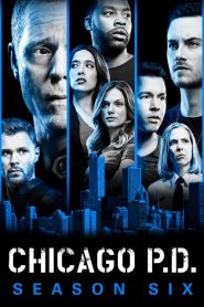 Chicago Police Department: Saison 6