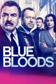 Blue Bloods: Saison 9