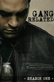 Gang Related: Saison 1