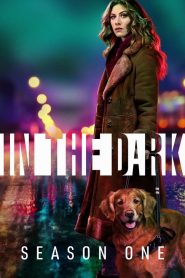 In the Dark: Saison 1