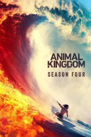 Animal Kingdom: Saison 4