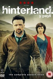 Hinterland: Saison 3