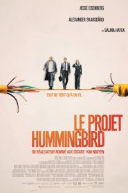 The Hummingbird Project