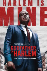 Godfather of Harlem: Saison 1