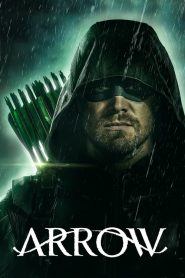 Arrow: Saison 8