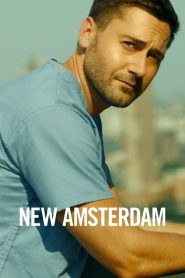 New Amsterdam: Saison 2